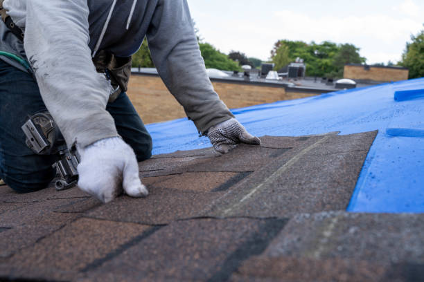 Best Roof Leak Repair  in Monte Vista, CO