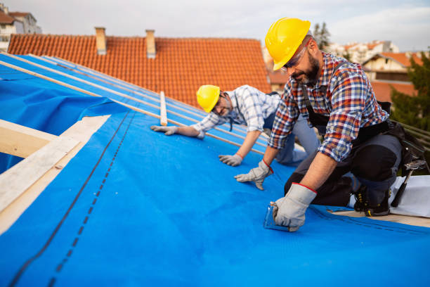 Best Emergency Roof Repair  in Monte Vista, CO