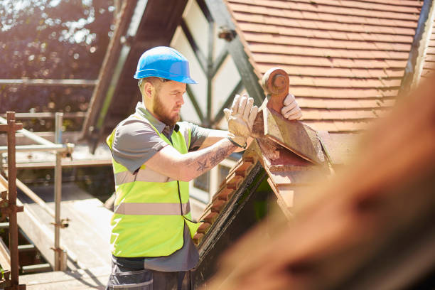 Best Roof Gutter Cleaning  in Monte Vista, CO