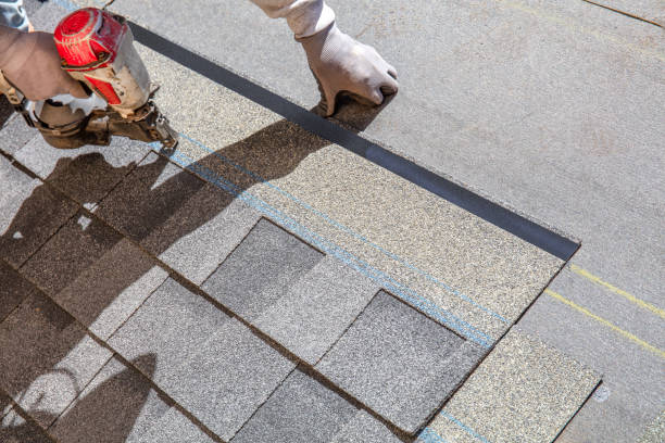 Best Roof Gutter Cleaning  in Monte Vista, CO